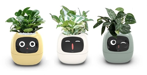 Кашпо с автополивом Ivy Smart Planter