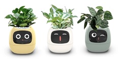 Кашпо с автополивом Ivy Smart Planter