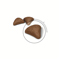 Royal Canin Hairball Care сухой корм для кошек выведение комков шерсти 2кг