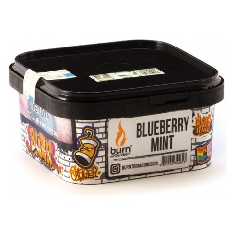 Tabak Burn Blueberry Minze (Heidelbeere und Minze) 200g