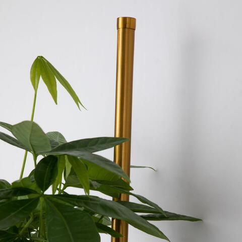 Настенный светодиодный светильник Favourite Greenery 4050-2W