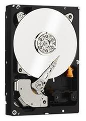 Внутренний HDD 3.5" Western Digital Black FZEX, 1Тб, SATA3, Bulk, Чтение:150мб/с, Запись:150мб/с, 7200об/мин, Буфер:64Мб (WD1003FZEX)