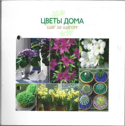 Цветы дома: Шаг за Шагом. Разделы 3, 4