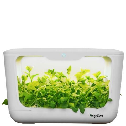 Проращиватель VegeBox L-Box (домашняя садовая ферма)