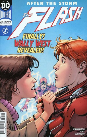 Flash Vol 5 #45