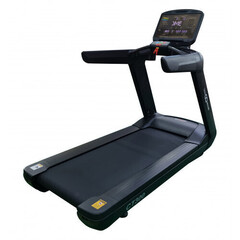 Профессиональная беговая дорожка CardioPower PRO CT300