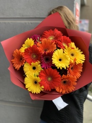 Букет из 15 гербер в пленке