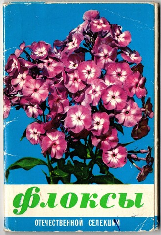 Набор открыток 14 штук "Флоксы отечественной селекции", СССР 1977 год