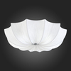 Светильник потолочный ST Luce Fiore SL358.502.05