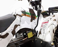 Квадроцикл GreenCamel Атакама T220 (48V 1000W R8 Дифференциал) пониженная