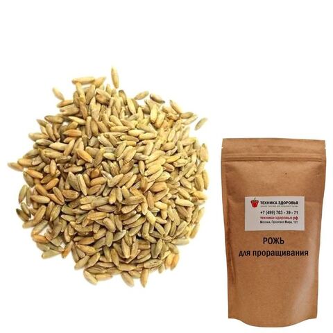 Рожь для проращивания Зерница 500 г