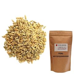 Рожь для проращивания Зерница 500 г