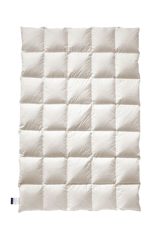 Одеяло пуховое 155х220 Billerbeck Frieda Cassette II