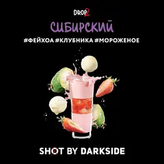 Dark Side 30г. SHOT (Сибирский) (М)