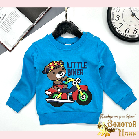 Джемпер хлопок м (1-4) 251106-GV222