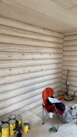 BL-0018 Беленый дуб