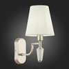 Светильник настенный Evoluce Reimo SLE105501-01