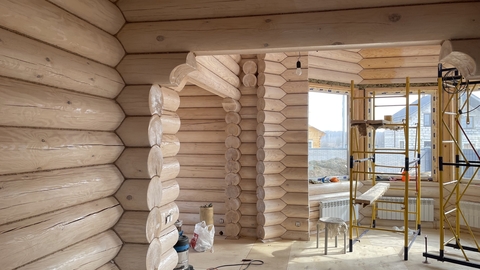 BL-0018 Беленый дуб