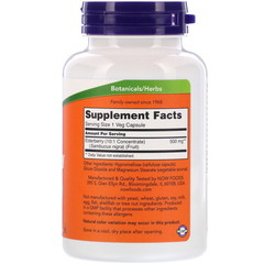 Now Foods, Elderberry, 500 mg, 120 Veg Capsules