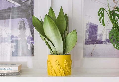 Пластик для 3D-принтера Fillamentum ASA Extrafill Dijon Mustard