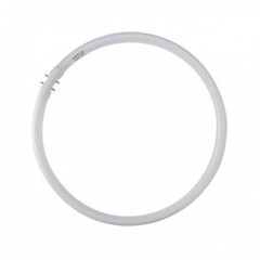 Лампа T5 YH40RR 2GX13 (круглая) 6500К