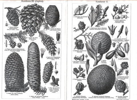 Двухсторонняя литография