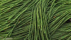 Упругая канитель золото/травяной 1,9мм