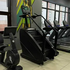 Тренажер-лестница TANGEN D8900