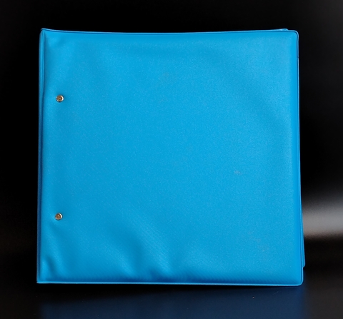 Альбом для хранения бон, купюр, открыток Р-р 11,5*19см 25 листов высокой плотности XF