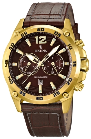 Наручные часы Festina F16880/2 фото