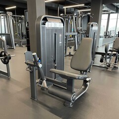 Разгибание ног сидя (Leg Extension) DHZ E-7002. Стек 110 кг