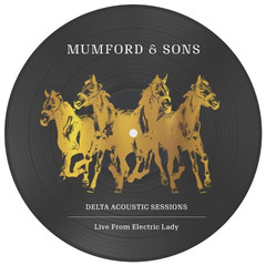 Mumford & Sons / Delta Acoustic Sessions (Picture Disc)(10