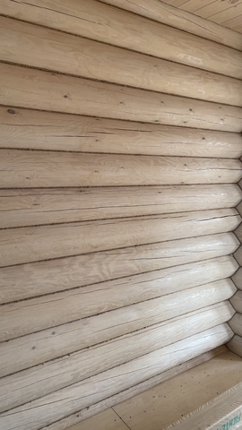 BL-0018 Беленый дуб