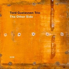 Tord Gustavsen Trio / The Other Side (CD)