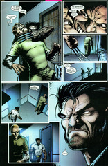 Wolverine Vol 3  #5