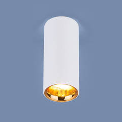 Накладной потолочный светодиодный светильник Elektrostandard DLR030 12W белый матовый/золото