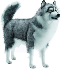 Hansa Мягкая игрушка 