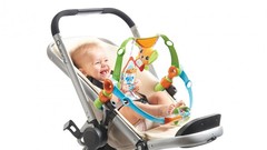 Tiny Love Дуга-арка для ручек и ножек 