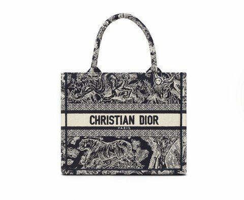 Сумка женская Dior Book Tote, модель маленького формата синий