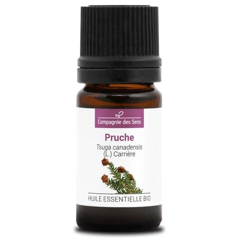 CdS. Цуга (Tsuga canadensis) - 5 ml