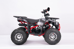 Квадроцикл YACOTA SIRIUS 125 LD