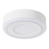 Светильник точечный Arte Lamp Antares A7806PL-2WH
