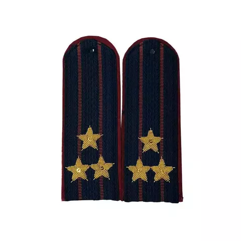 Погоны ФСИН вышитые полковник