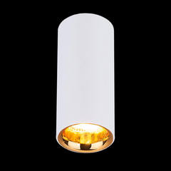 Накладной потолочный светодиодный светильник Elektrostandard DLR030 12W белый матовый/золото