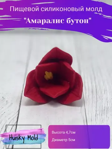 Пищевой молд 