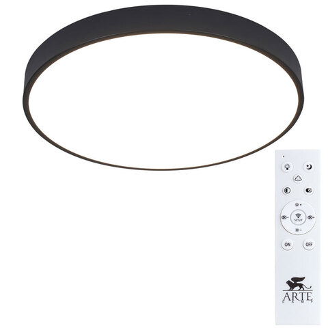 Светильник потолочный Arte Lamp Arena A2672PL-1BK