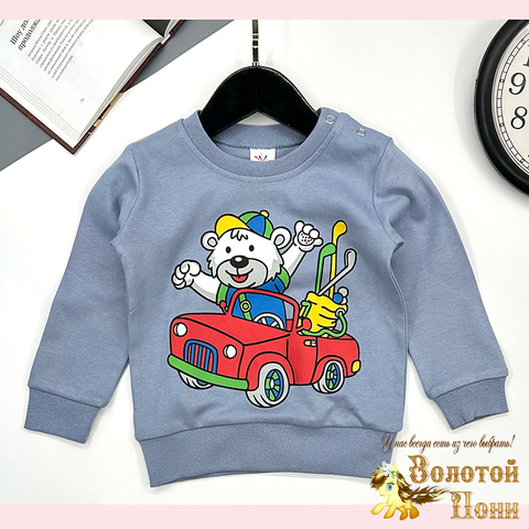 Джемпер хлопок м (1-4) 251106-GV223