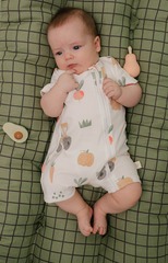 1516-336 Песочник (трактор)