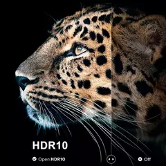 Проектор ZEEMR D1 Pro Black (Черный)