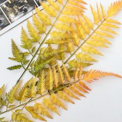 Папоротник осенний оранжевый, зелень искусственная, 60 см, набор 5 веток.